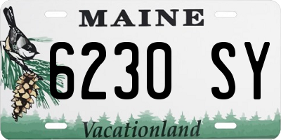 ME license plate 6230SY