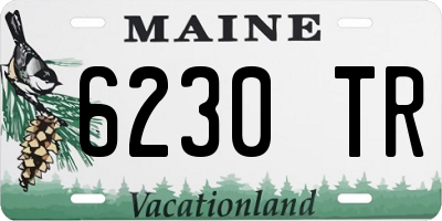 ME license plate 6230TR