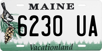 ME license plate 6230UA