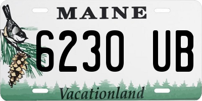 ME license plate 6230UB