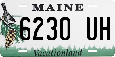 ME license plate 6230UH