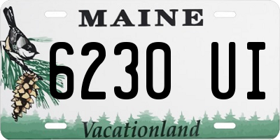 ME license plate 6230UI