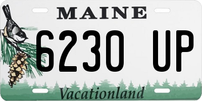 ME license plate 6230UP