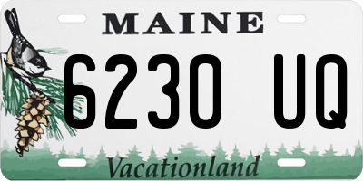 ME license plate 6230UQ