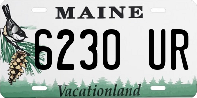 ME license plate 6230UR