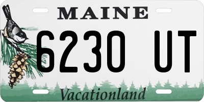 ME license plate 6230UT