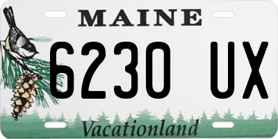 ME license plate 6230UX