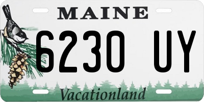 ME license plate 6230UY