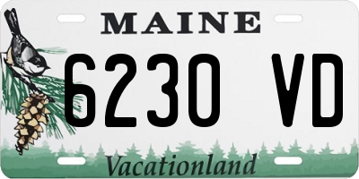 ME license plate 6230VD