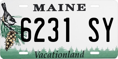 ME license plate 6231SY