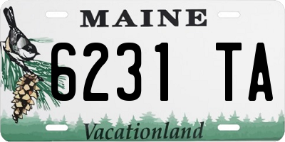 ME license plate 6231TA