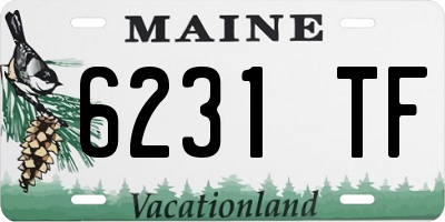 ME license plate 6231TF