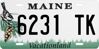 ME license plate 6231TK