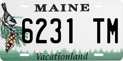 ME license plate 6231TM