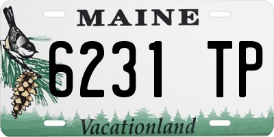 ME license plate 6231TP