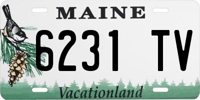 ME license plate 6231TV