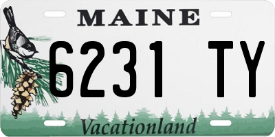 ME license plate 6231TY