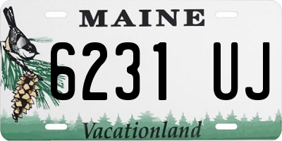 ME license plate 6231UJ
