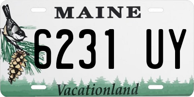 ME license plate 6231UY