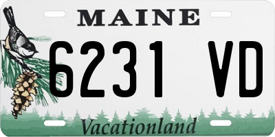 ME license plate 6231VD