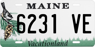 ME license plate 6231VE