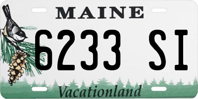 ME license plate 6233SI