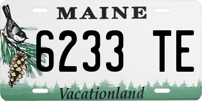ME license plate 6233TE