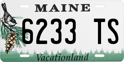 ME license plate 6233TS
