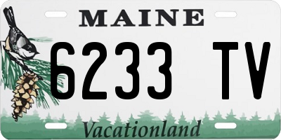 ME license plate 6233TV