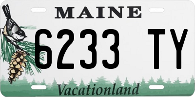 ME license plate 6233TY