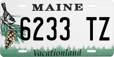 ME license plate 6233TZ