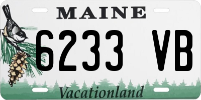 ME license plate 6233VB