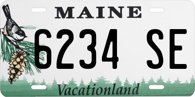 ME license plate 6234SE