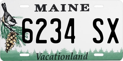 ME license plate 6234SX