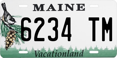 ME license plate 6234TM