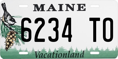 ME license plate 6234TO
