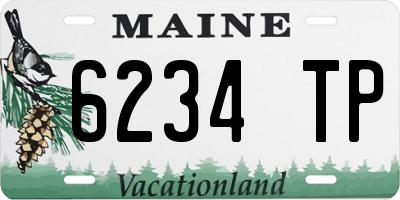 ME license plate 6234TP