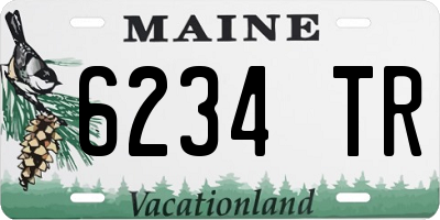 ME license plate 6234TR