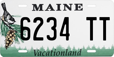 ME license plate 6234TT