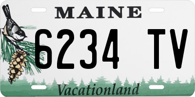 ME license plate 6234TV