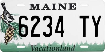 ME license plate 6234TY