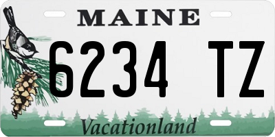 ME license plate 6234TZ