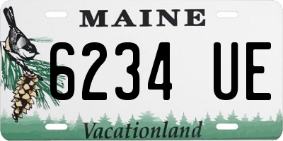 ME license plate 6234UE