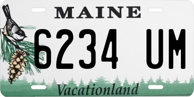 ME license plate 6234UM