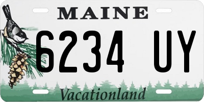 ME license plate 6234UY