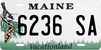 ME license plate 6236SA