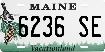 ME license plate 6236SE