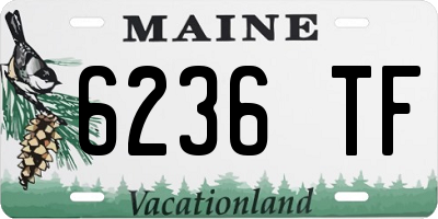 ME license plate 6236TF