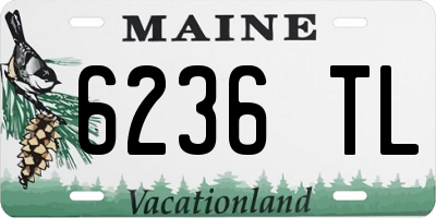 ME license plate 6236TL