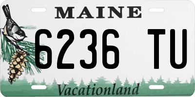 ME license plate 6236TU